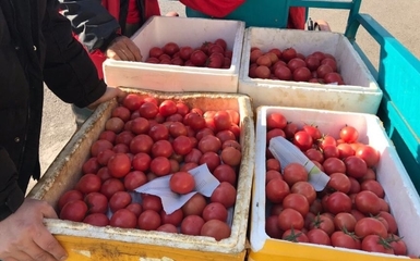 媒體農(nóng)大 菜籃子米袋子肉盤子 穩(wěn)產(chǎn)保供背后有只&ldquo;看得見的手&rdquo;