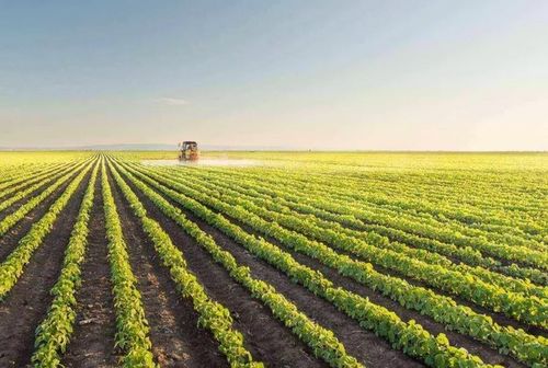 農產品銷售難 這些新的農場的營銷方式,讓瓜果蔬菜變現更容易