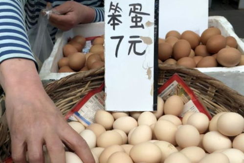 下半年,來自農(nóng)村的這4款產(chǎn)品即將漲價(jià),農(nóng)民們趕緊養(yǎng)起來