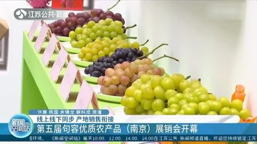 線上線下同步銷售 第五屆句容優質農產品 南京 展銷會開幕