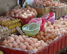 受多重因素影響 市區(qū)雞蛋豬肉價格普遍上漲